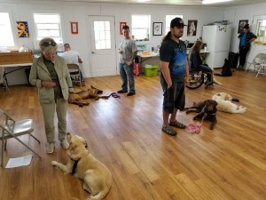 Group dog training at Peggy Moran's School for Dogs, LLC